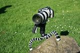picture of Joby Gorillapod for Canon 450D, 1000D,500D, Nikon D3000, D5000,D90, Sony Alpha DLSR Range, and Panasonic G1 Series - SLR Zoom