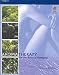 Aromatherapy for the Beauty Therapist (Hairdressing & Beauty Industry Authority)
