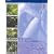 Aromatherapy for the Beauty Therapist (Hairdressing & Beauty Industry Authority)