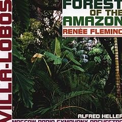 Forest of the Amazon