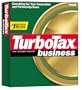 TurboTax Business 2002