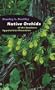 Native Orchids of the Southern Appalachian Mountains