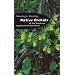 Native Orchids of the Southern Appalachian Mountains
