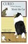 Curio a Shetland Sheepdog Meets the Cat