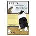Curio a Shetland Sheepdog Meets the Cat