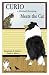 image 37 - Curio a Shetland Sheepdog Meets the Cat