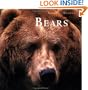 Bears: Nature's Window