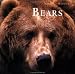 Bears: Nature's Window