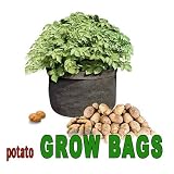 Potato Grow Bags Made of Double Layered Felt Like Fabric. 18 Inches in Diameter 14 Inches High. Fabric Allows Air to Circulate Around Roots. Two (2) Bags in This Package.