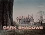 Dark Shadows - The First Year