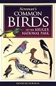 Newman's Birds of the Kruger Park (Southern Africa Green Guide)