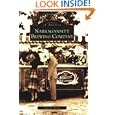 Narragansett Brewing Company (RI) (Images of America) by Hazel Turley