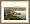 Frame: gold victorian 1.5