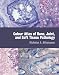 Book Colour Atlas of Bone, Joint, and Soft Tissue Pathology