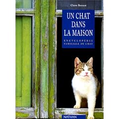 Un chat dans la maison
