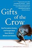Gifts of the Crow