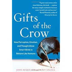 Gifts of the Crow: How Perception, Emotion, and Thought Allow Smart Birds to Behave Like Humans