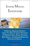 invest platinum:Junior Mining Investor: 14 Natural Resource Experts Show You How to Invest Profitably in Emerging Gold, Silver, Platinum, Base Metals, and Uranium Mining and Exploration Stocks (Paperback)