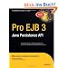Pro EJB 3: Java Persistence API (Expert's Voice in Java)