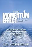 The Momentum Effect: How to Ignite Exceptional Growth [MOMENTUM EFFECT] [Paperback]