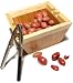 Pinzon Two-Tone Bamboo Bowl with Nut Cracker