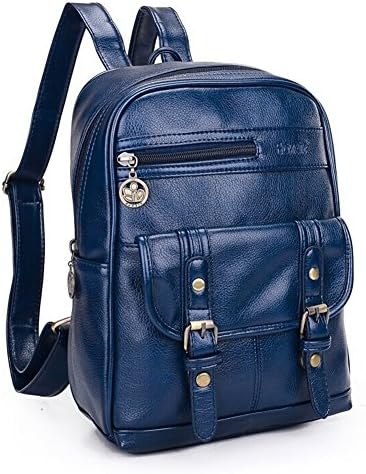 Retro Solid Color Pu Leather College Daypacks Multi-function Travel Backpack (Blue)