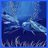 Queen 4 Dolphins Medium Weight Blanket 79" X 96"