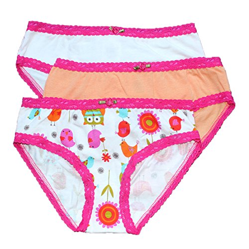 Esme Little Girl's 3pcs Panty Pack - Bird Owls