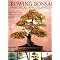 Learn the Care and Feeding of Bonsai