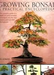 Growing Bonsai: A Practical Encyclope...