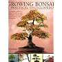 Growing Bonsai: A Practical Encyclopedia: The essential practical guide to a classic art with techniques, step-by-step projects and over 800 photographs