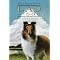 Ambleside Online Year 5 Additional Reading I