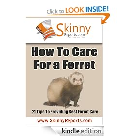 How To Care For a Ferret - 21 Tips To Providing Best Ferret Care (Skinny Report)