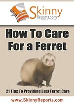 Click to Download Free Kindle Book -> How To Care For a Ferret - 21 Tips To Providing Best Ferret Care (Skinny Report)