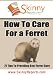 How To Care For a Ferret - 21 Tips To Providing Best Ferret Care (Skinny Report)