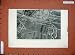 1882 Balloon Photography Rennes France Aerial View