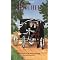Favorite Amish books