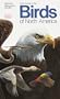 Field Guide to the Birds of North America, Second Edition