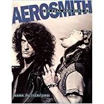Aerosmith: The Fall & Rise of Aerosmith book cover