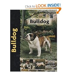 Bulldog (Pet love)