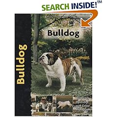 Bulldog (Pet Love)