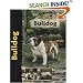 Bulldog (Pet Love)