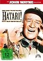 Hatari!