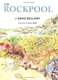 The Rockpool (Our Changing World)