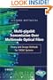 Multi-Gigabit Transmission over Multimode Optical Fibre: Theory and Design Methods for 10GbE Systems