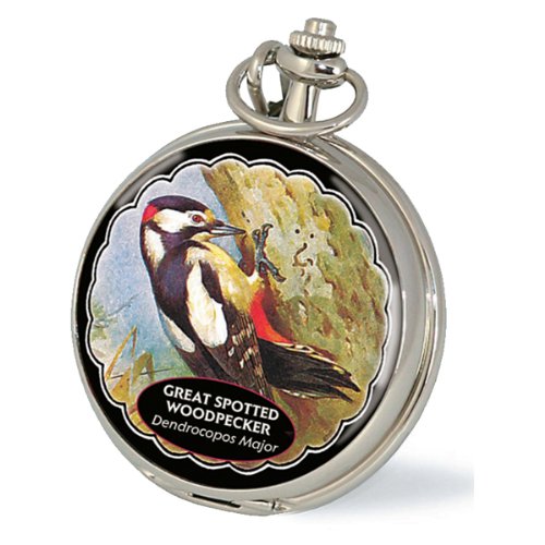 pocket watch