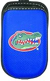 Team Case Collegiate Series, Florida