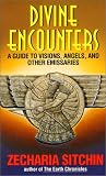 Divine Encounters: A Guide to Visions, Angels, and Other Emissaries