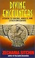 Divine Encounters: A Guide to Visions, Angels and Other Emissaries