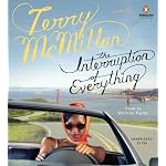 The Interruption of Everything (Mcmillan, Terry) book cover
